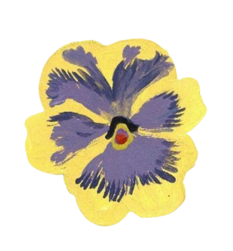 CONFIDENCE KITS COLLECTIVE FOUNDATION